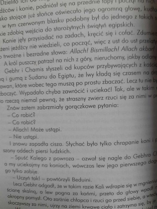 W pustyni i w puszczy Henryk Sienkiewicz