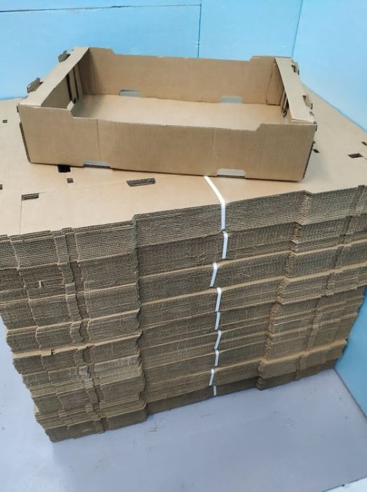 Cestas/ Caixas de cartão multiusos