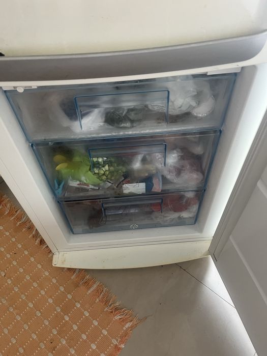 Frigorifico Electrolux