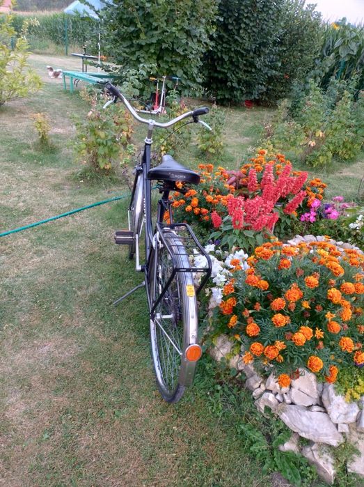 Rower Norta koła 28 piękna damka klasyk Norta rowerek na wycieczki