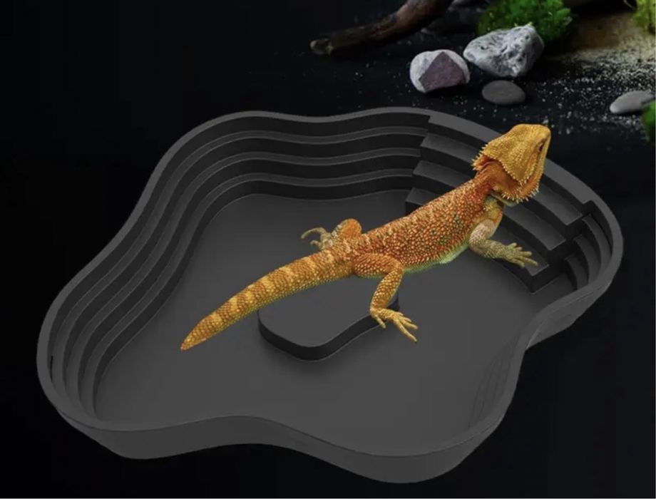 Аксесуари та обладнання для тераріуму