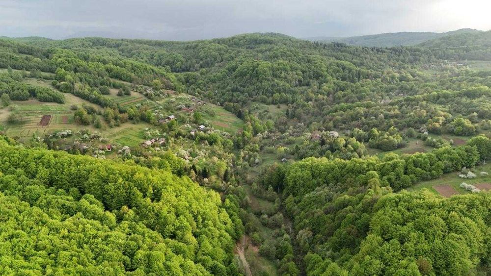 ТЕРМІНОВО/ Земля / Орів / Дрогобицький / Львівська область
