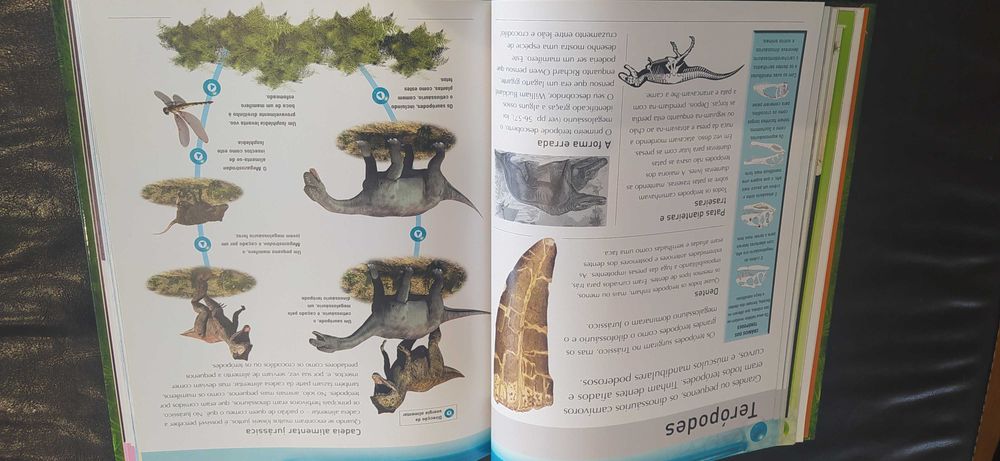 Livro: Enciclopédia dos Dinossauros