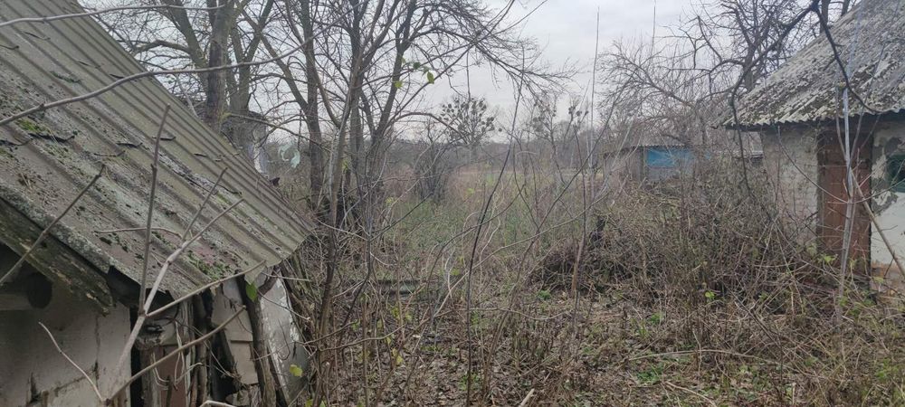 Дом Новая Басань