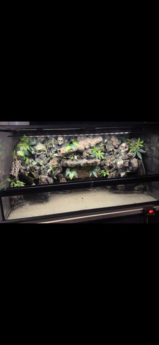 Terrarium exoterra oswietlenie scianka dekoracje