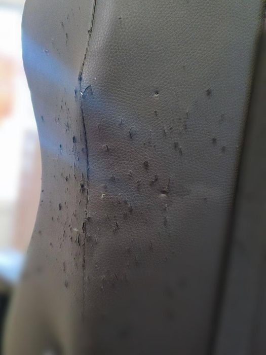 Стул компьютерний