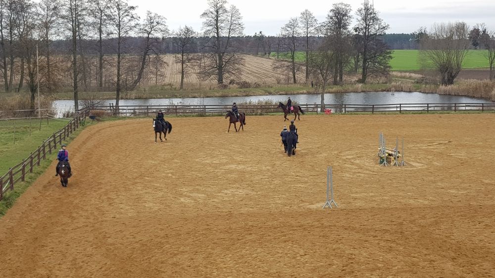 Obornik koński - własny odbiór - najlepszy, najtańszy nawóz.