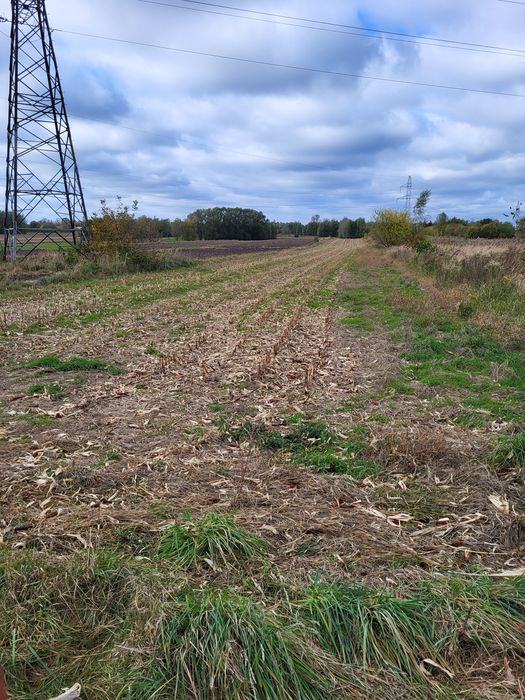 Działka na sprzedaż 8600m2