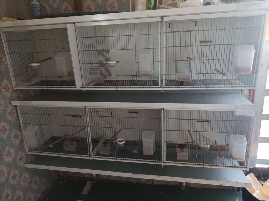 Viveiros e acessórios