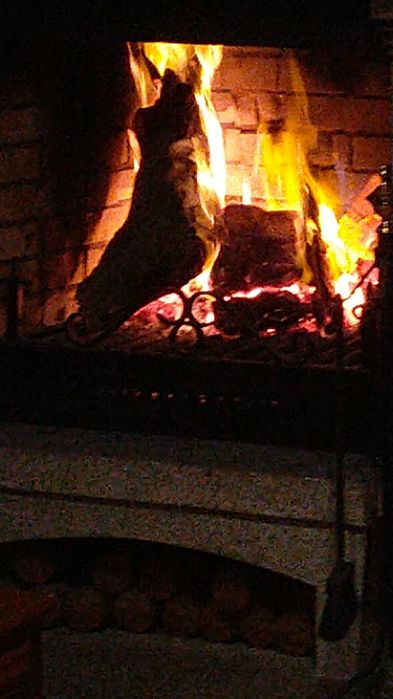 Lenha eucalipto calibrada (sacos 3.5€)