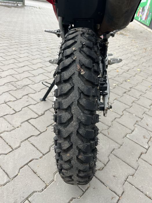 Продам лося 250.