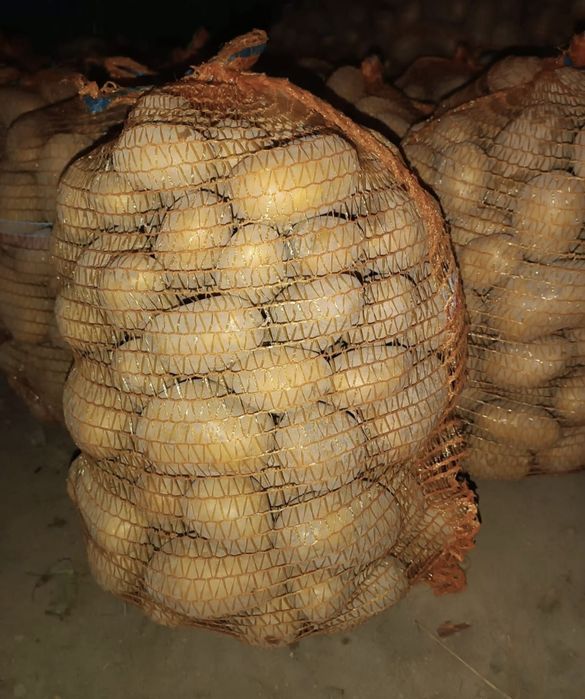 Ziemniaki małego kalibru