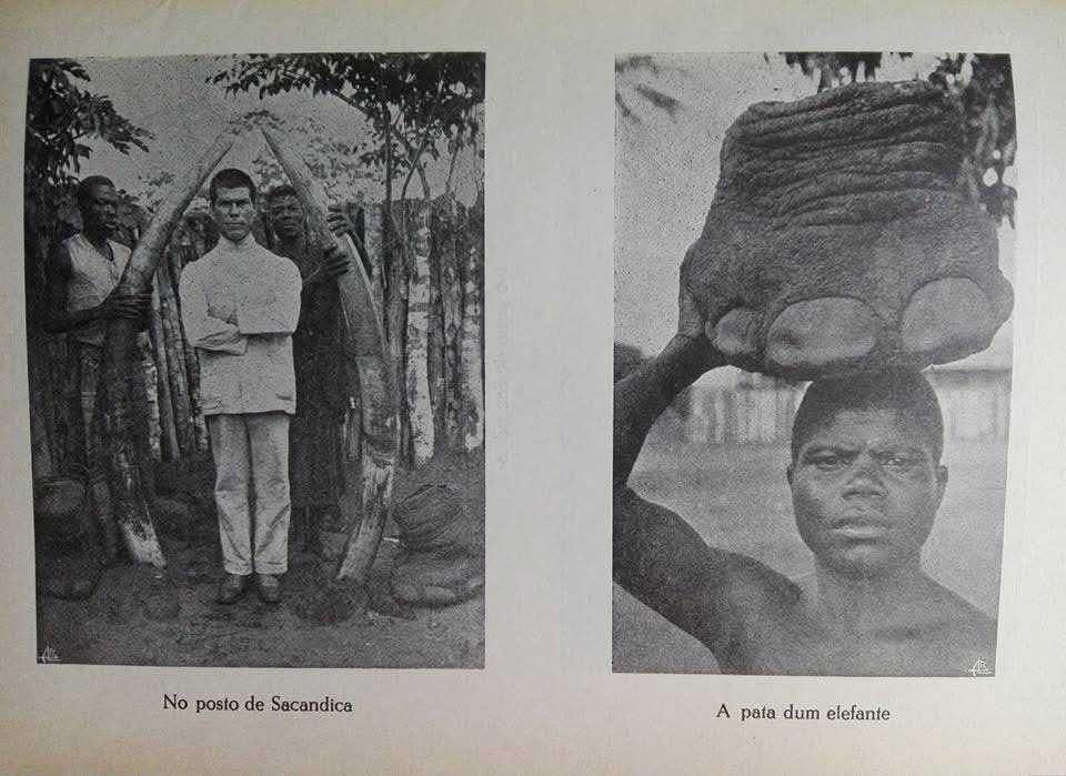 ÁFRICA VIVIDA - Memórias de um caçador de elefantes, de João Teixeira Vasconcelos
