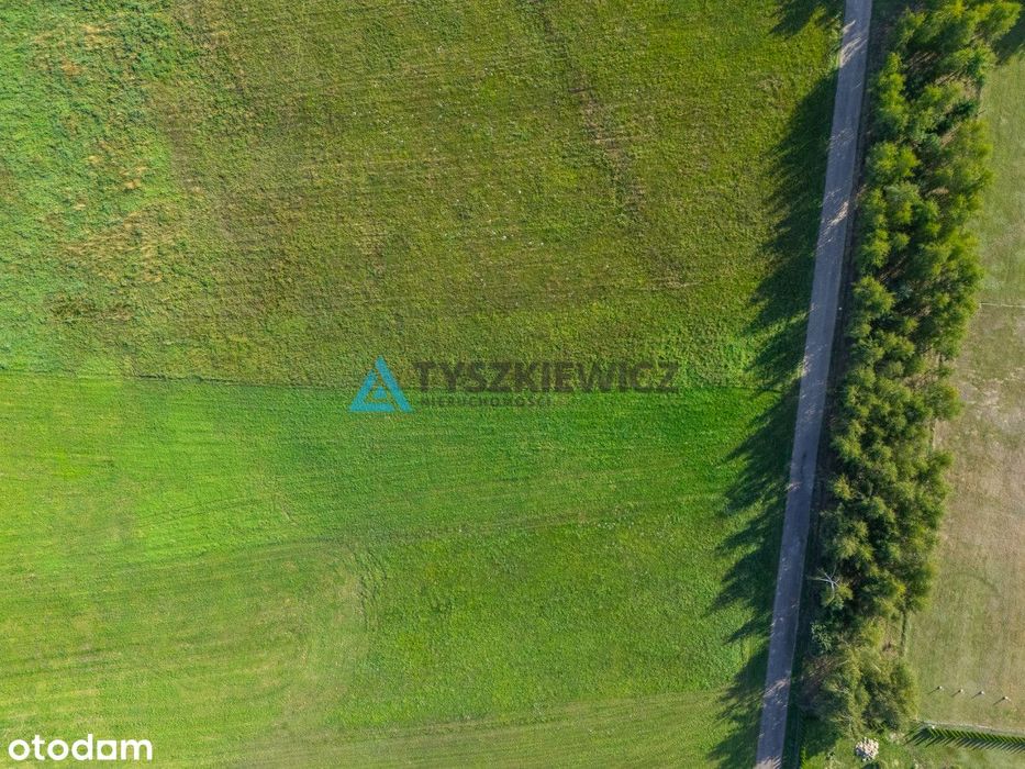 Lipienice k. Chojnic | Duża działka z WZ na 2 domy - Więcej