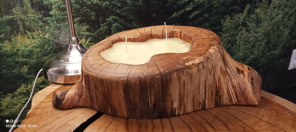 Świeca z plastra drewna pnia