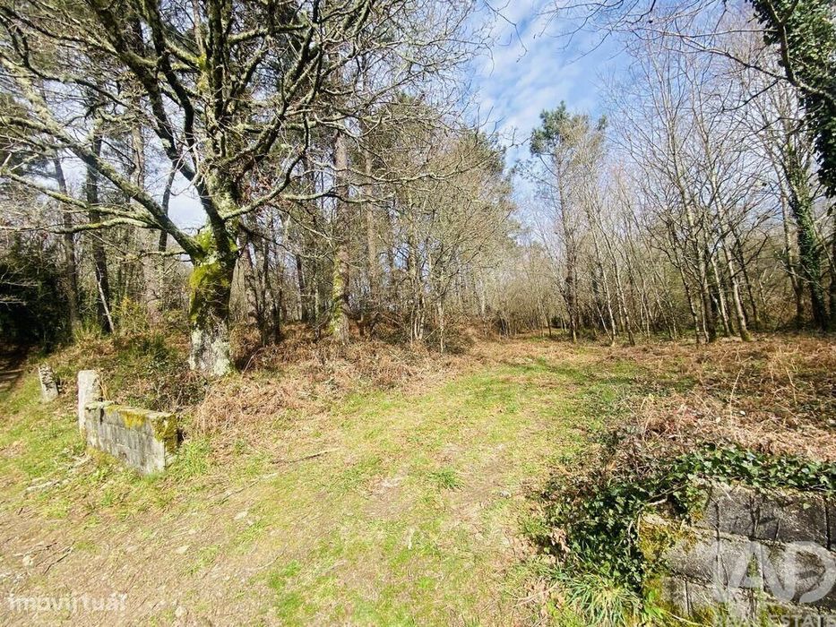 Terreno Agrícola em Sapardos de 260,00 m2