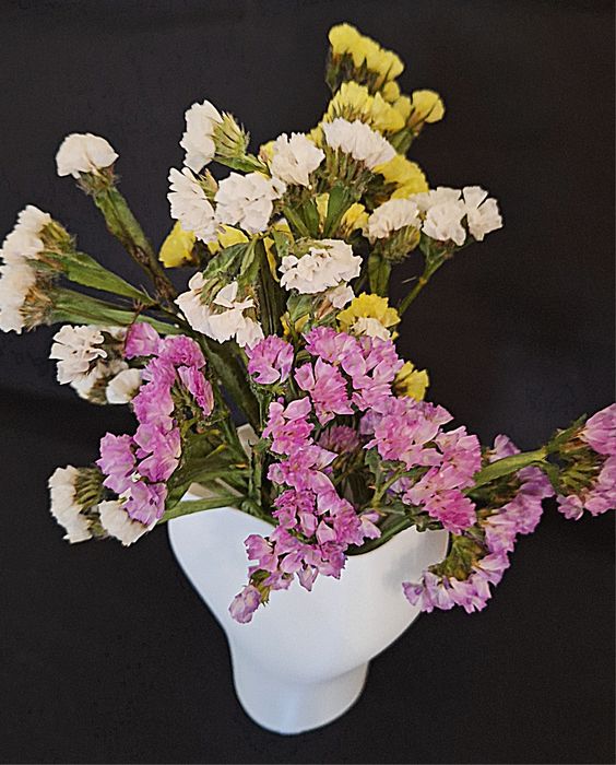 Vaso oval impressão 3D