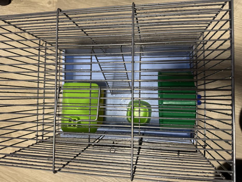 Клітка для гризунів