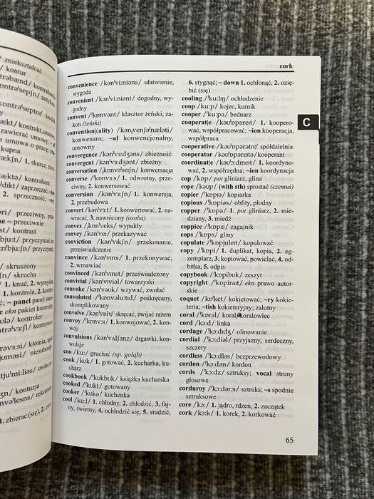 Słownik angielski/polski 3w1