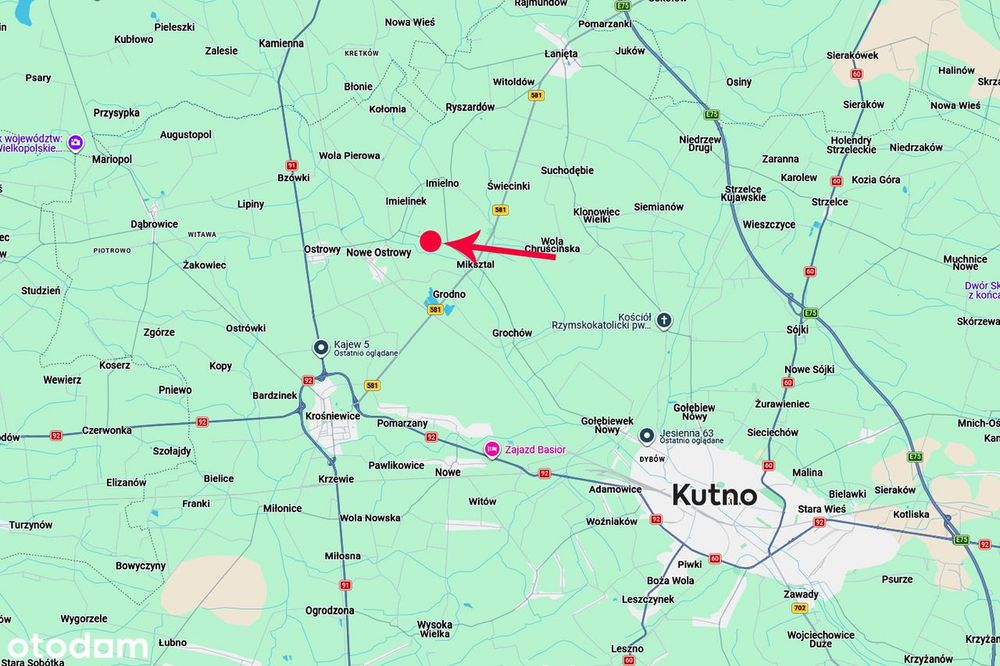 Działka dla dewelopera pod Kutnem z MPZP (bud. jednorodzinne) 8 844 m² - Widok 5