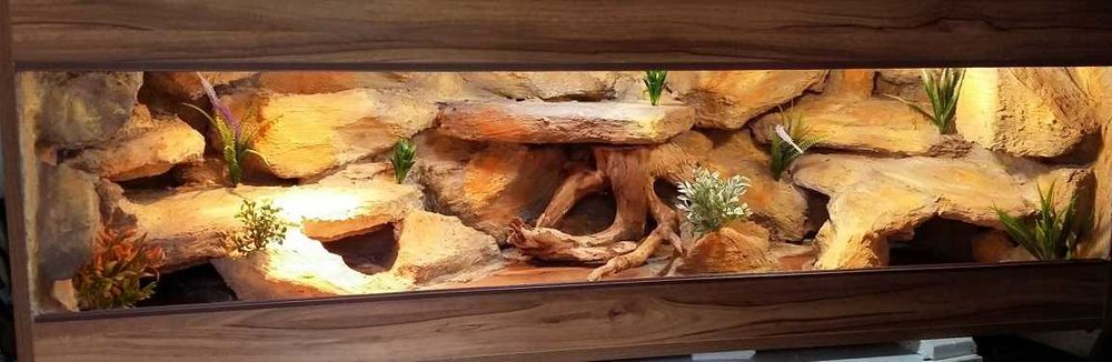 Terrarium na zamówienie dla agamy 100x40x40