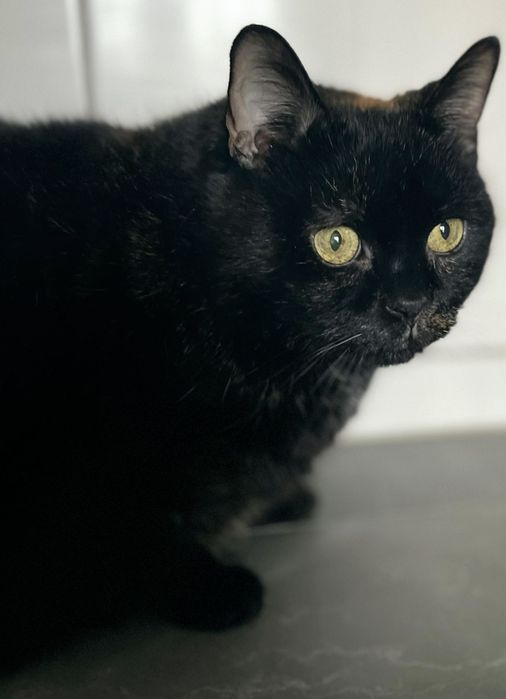 To Merry ...błagam o szansę dla niej ...