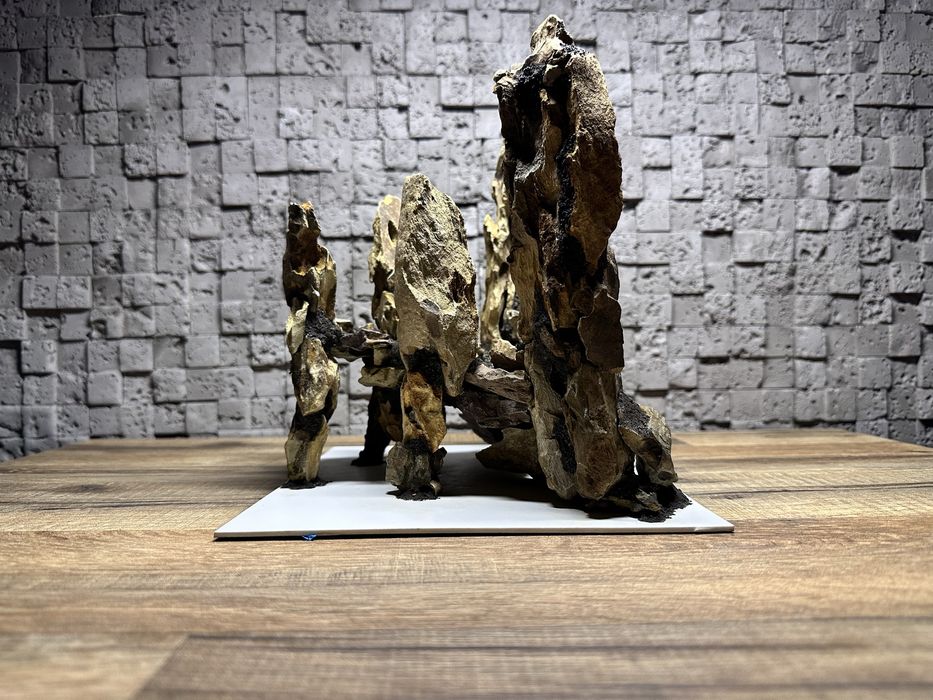 Готова композиція для акваріума/тераріума