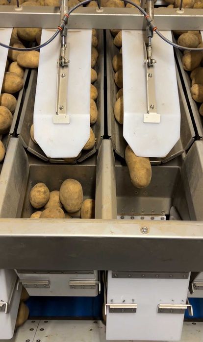 Waga HIGHTEC R12L z podwójnym przenośnikiem – 2 maszyny pakujące