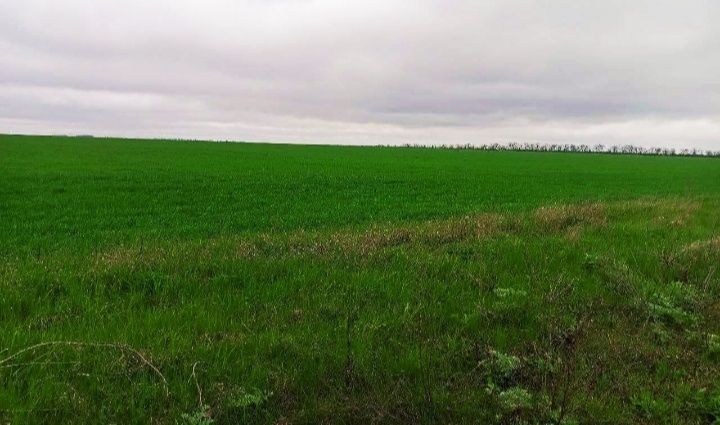 Продам участок 1гег. Великий. Дальник