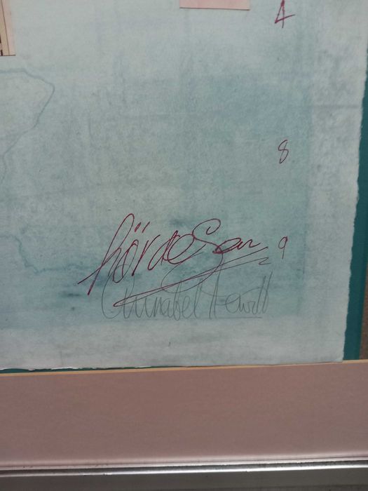 Quadros (Lote de quadros)