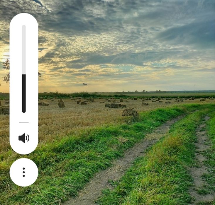 Сіно на продаж у тюках, вага 10 кг