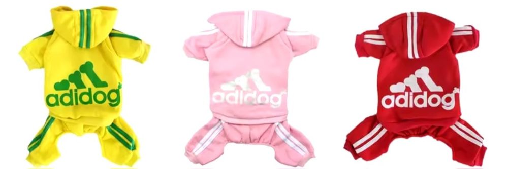 Dres dla małego psa adidog dresy kolory xs s