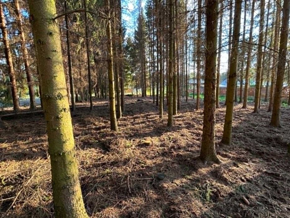 Działka 1575 m² Radonie, Grodzisk Mazowiecki, MPZP, media - Widok 5