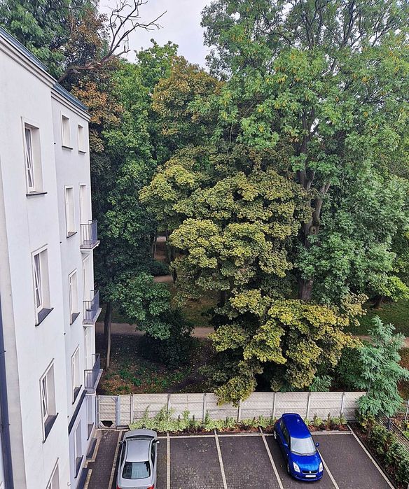 Pokoje przy Politechnice - opłaty w cenie