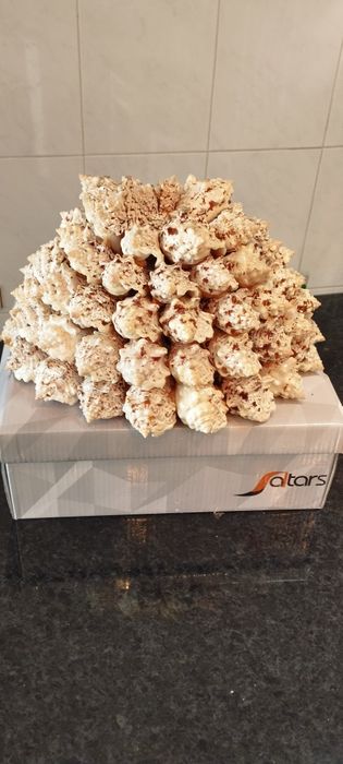 Arranjo  artesanal em forma de fruteira feita de búzios