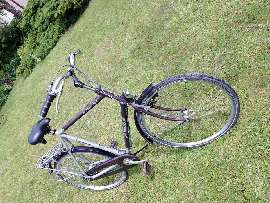 Batavus Intermezzo: idealny holender dla wysokich osób