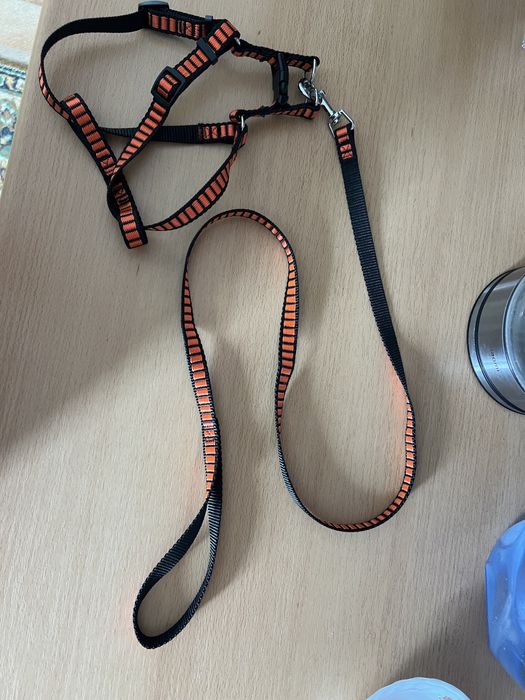 Поводок для собак