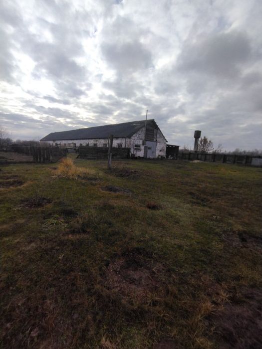 Продаж, приміщення ферми в Заворскло, поруч з Полтавою