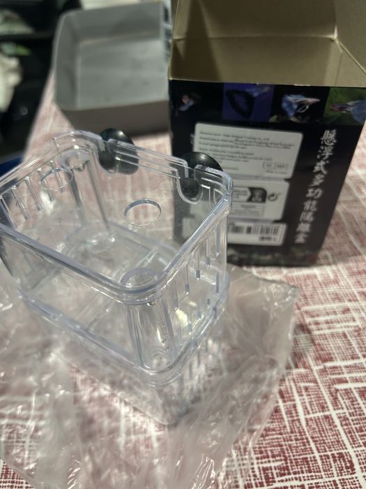 Maternidade peixes pequenos