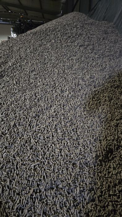 Wysłodki peletowane