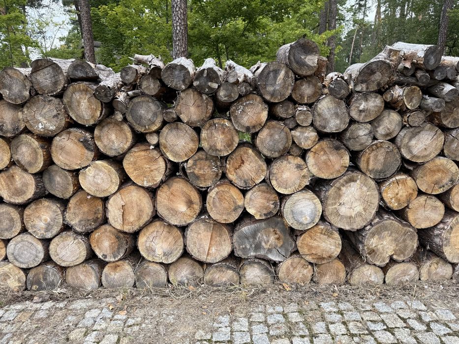 Drewno idealne do kominka