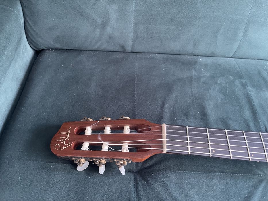 Godin multiac nylon