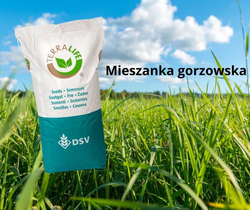 Mieszanka Gorzowska DSV