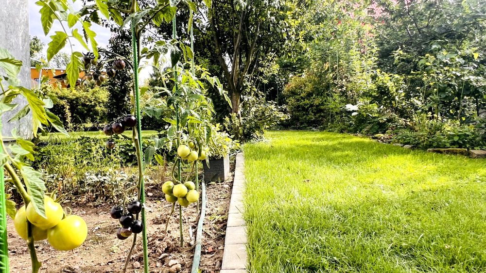 Domek 2-piętrowy 100m/2