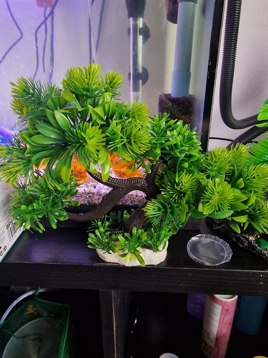 Bomba de filtragem, filtro de esponja e led