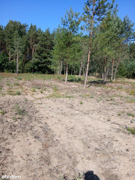 Kaszuby sprzedam działki budowlane – Struga, gmina Stara Kiszewa