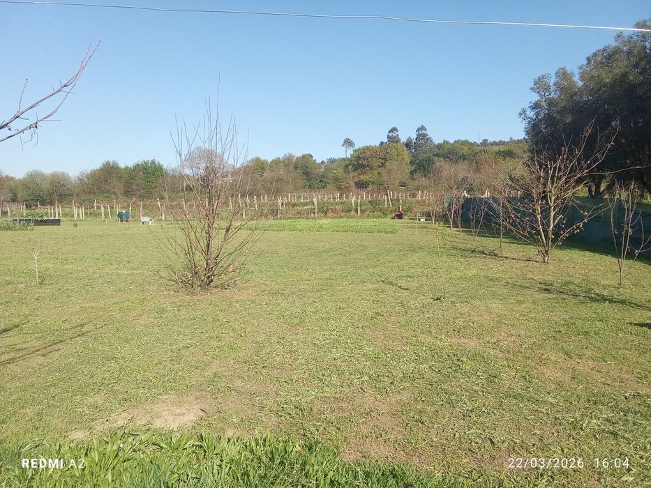 terreno pomar 3100 m2