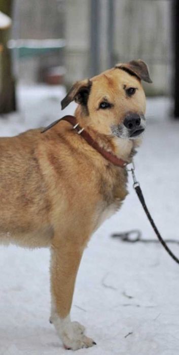 Rudlof , może w końcu będzie miał szczęście w życiu