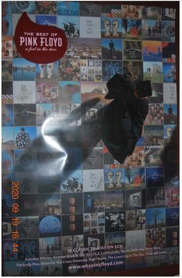 Plakat Pink Floyd A Foot in the door