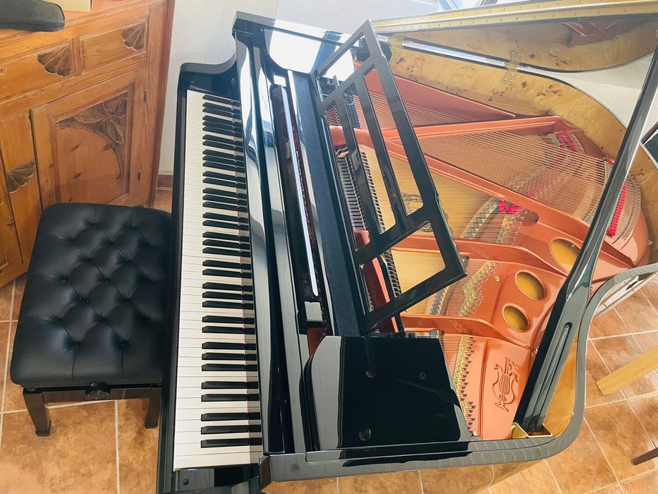 Piano de cauda Feurich Dynamic II